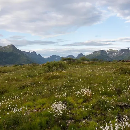 Lyngvaer Panorama - Jacuzzi & Sauna - No 37 Hébergement de vacances Kleppstad