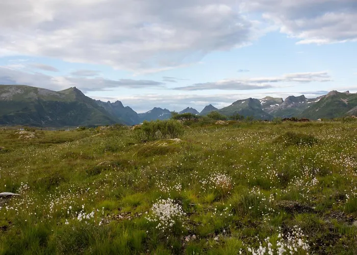 Lyngvaer Panorama - Jacuzzi & Sauna - No 37 Semesterbostad Kleppstad